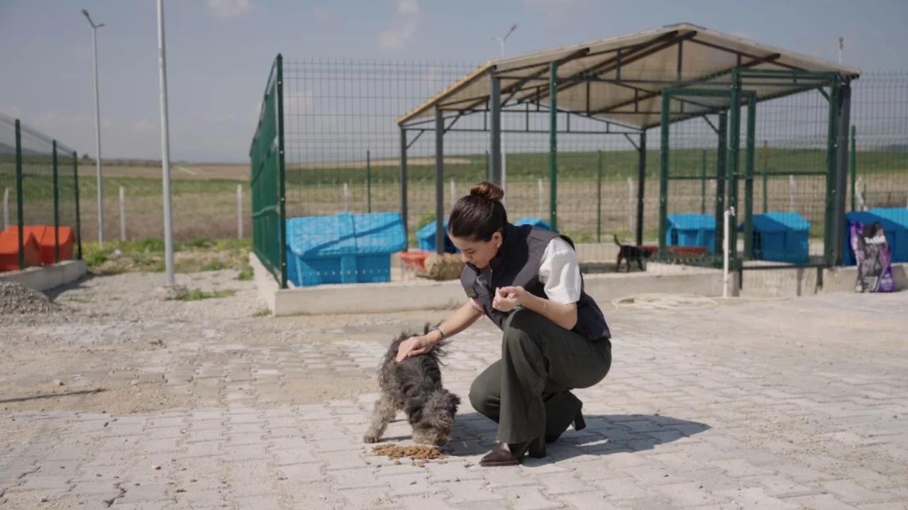 Ceyhan’da Patili Dostlara Doğal ve Güvenli Yeni Yaşam Alanı 